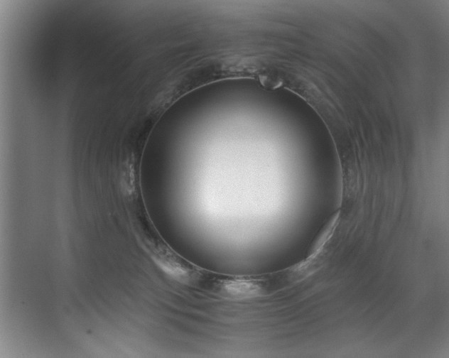 X0000075920183200609151504