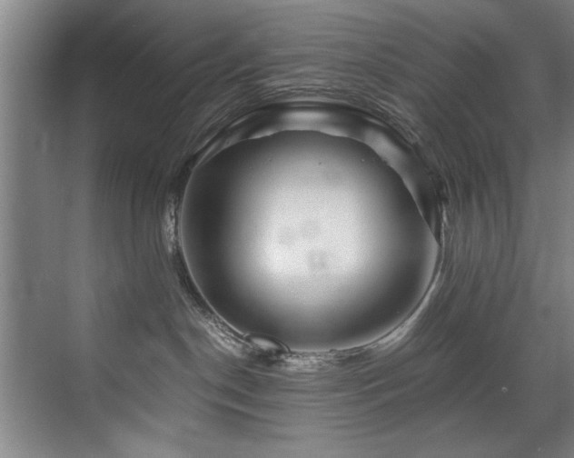 X0000075920190200609151504