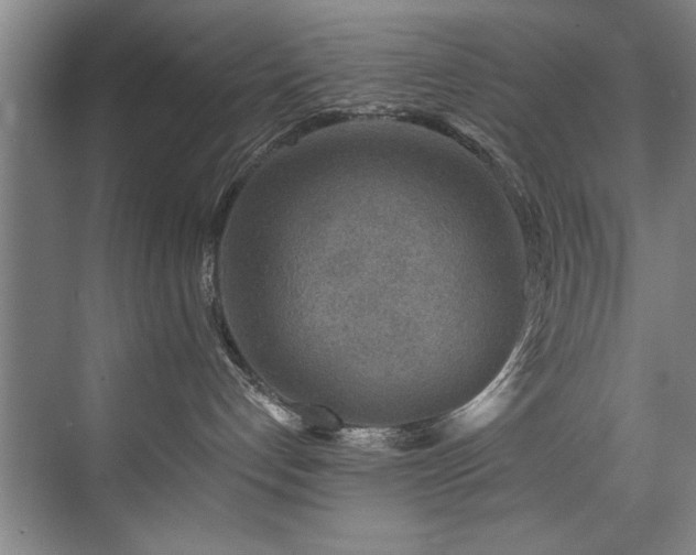 X0000075920192200609151504