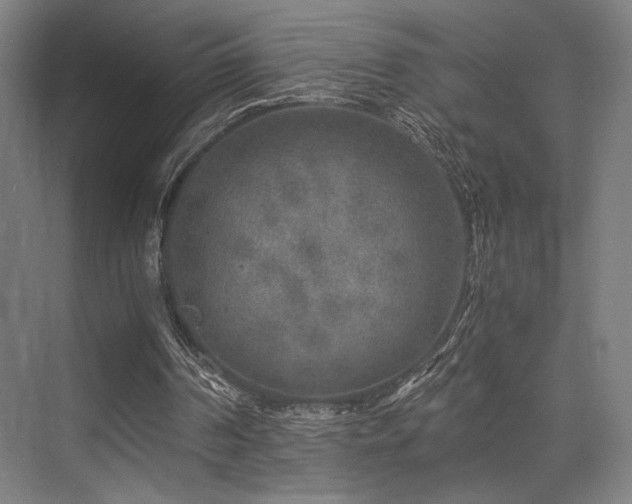 X0000075920194200609151503