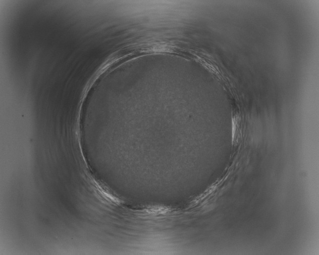 X0000075920195200609151503
