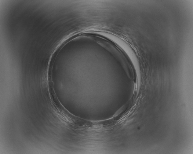 X0000075920196200609151503