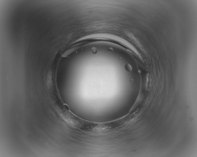 X0000075920213200609151503