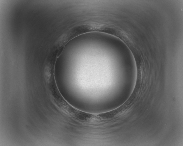X0000075920215200609151503