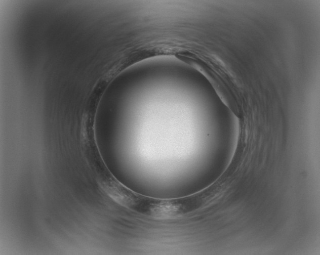 X0000075920217200609151503