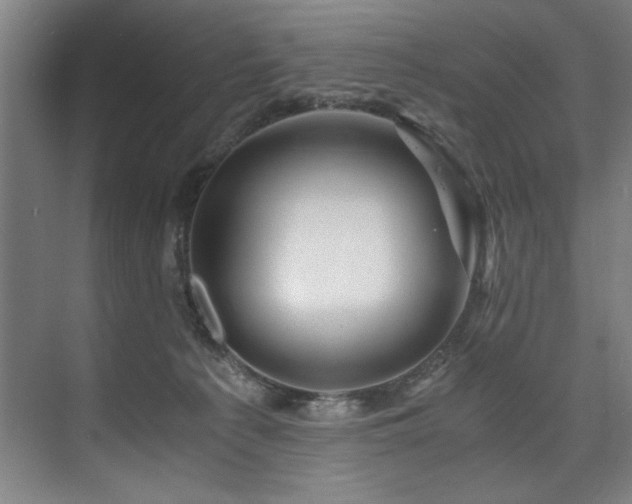 X0000075920225200609151503