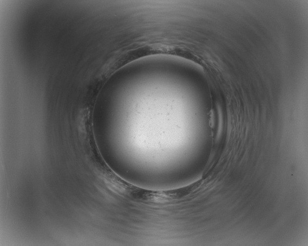 X0000075920229200609151503