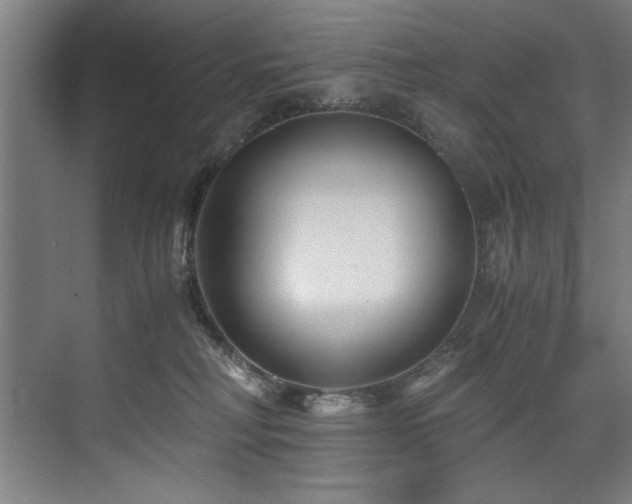 X0000075920230200609151503