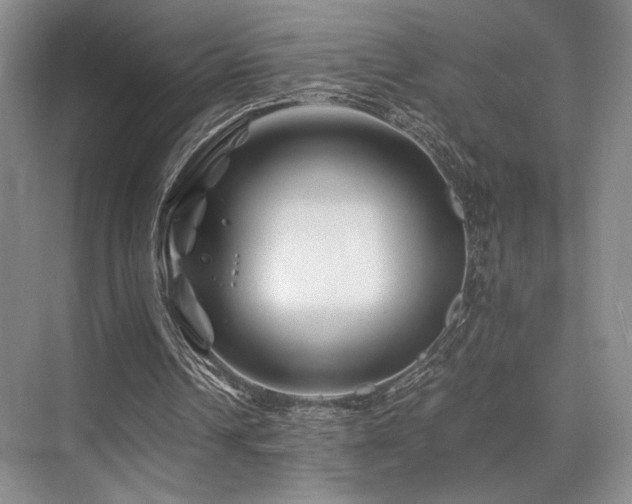 X0000075920242200609151502
