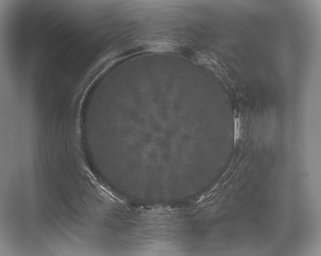 X0000075920243200609151502