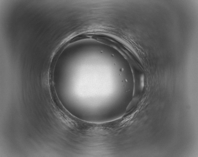 X0000075920244200609151502