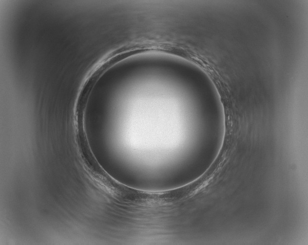 X0000075920246200609151502