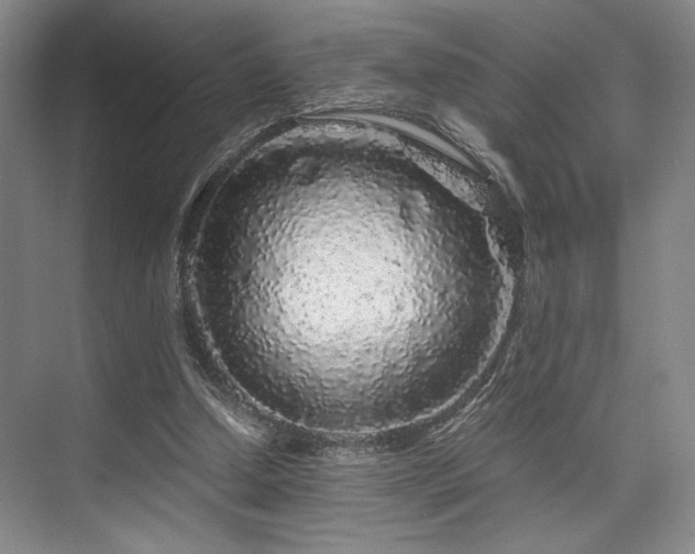 X0000075920250200609151502