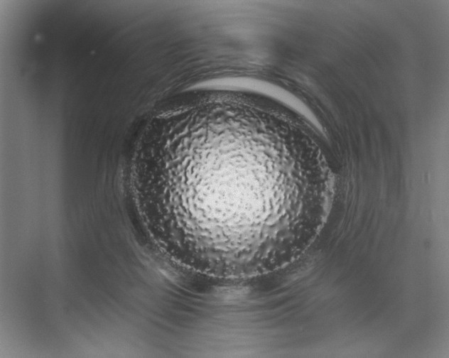 X0000075920266200609151502