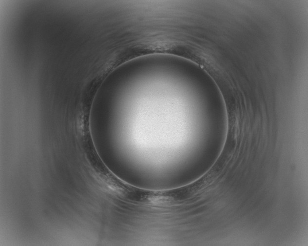 X0000075920268200609151502