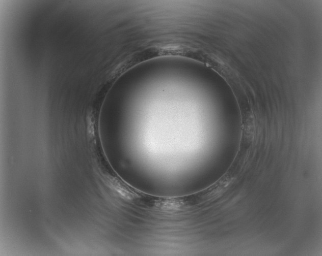 X0000075920282200609151503