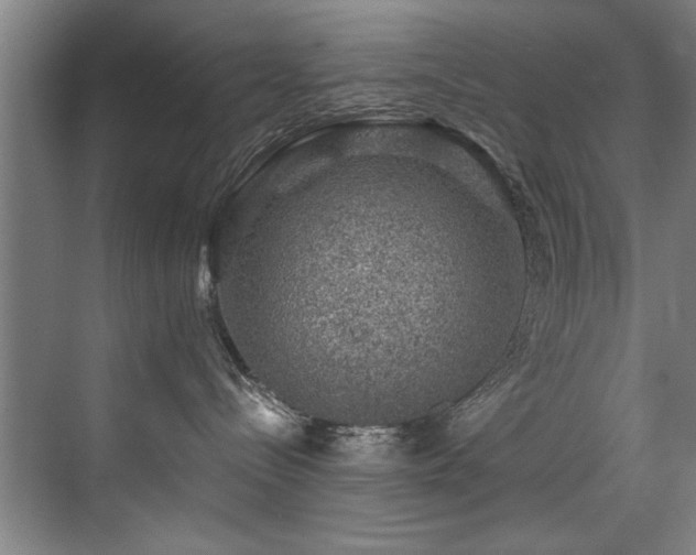 X0000075920288200609151503