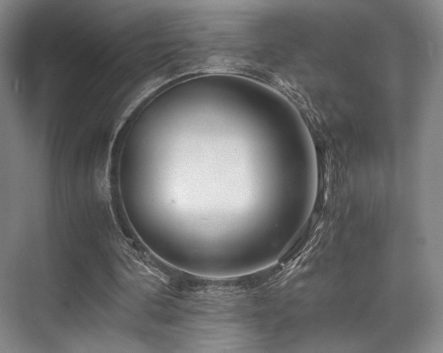 X0000075920292200609151502