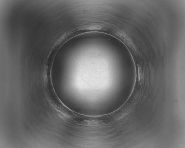 X0000075920300200609151502