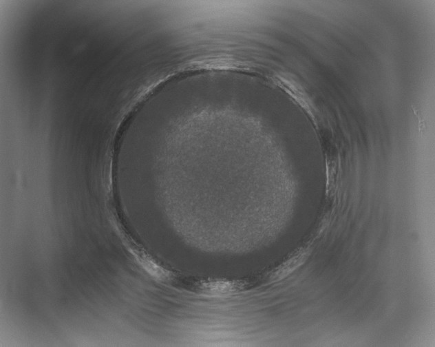 X0000075920301200609151502