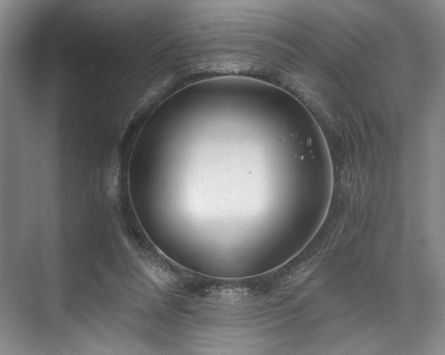 X0000075920304200609151502