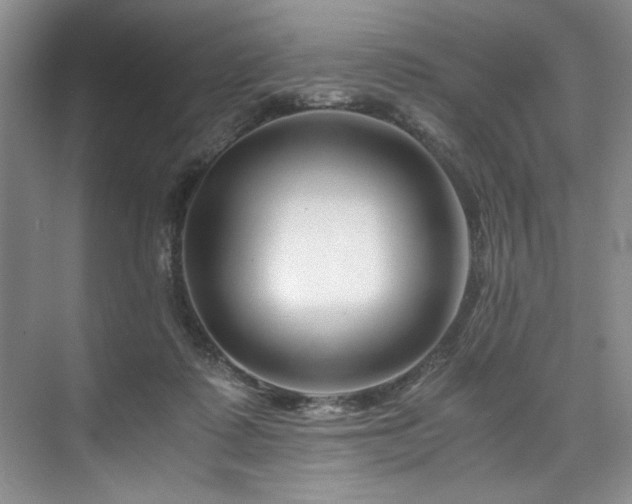 X0000075920315200609151501