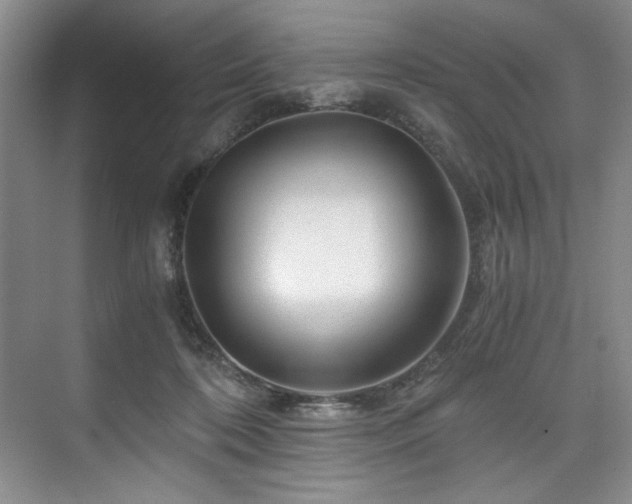 X0000075920316200609151501
