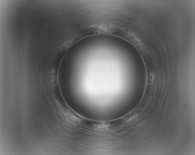 X0000075920318200609151501