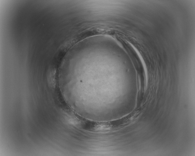 X0000075920319200609151501