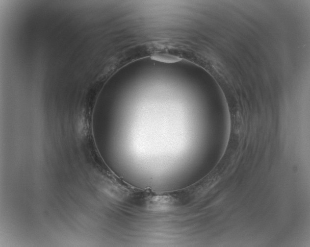 X0000075920324200609151501