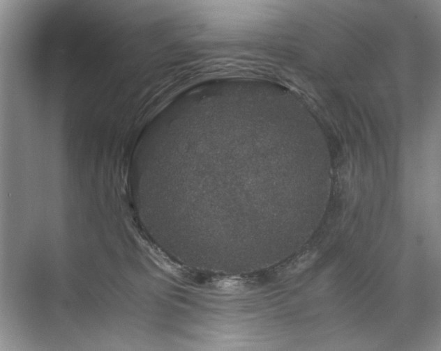 X0000075920325200609151501