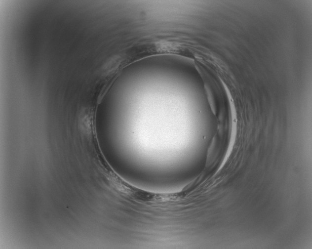 X0000075920329200609151501