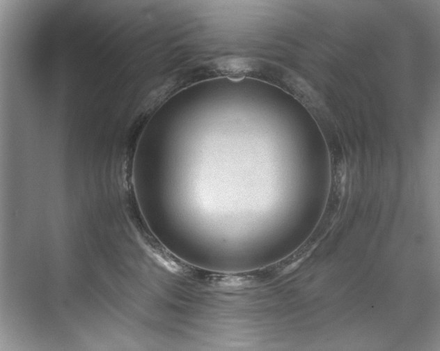 X0000075920330200609151501