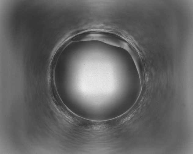 X0000075920344200609151500