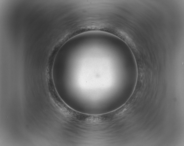 X0000075920354200609151500