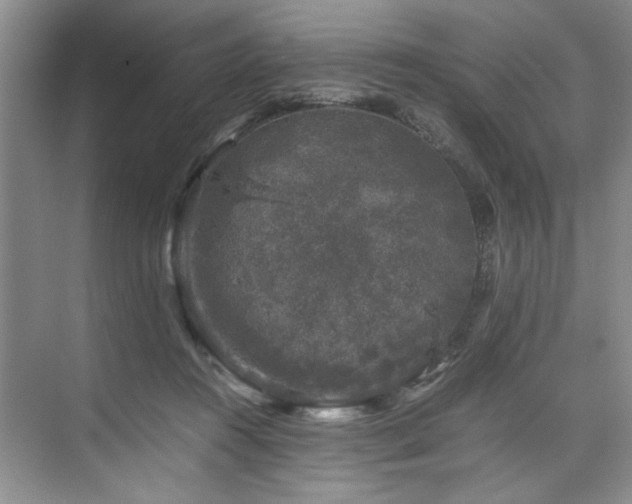 X0000075920360200609151501