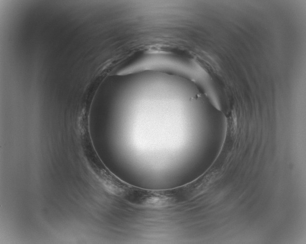 X0000075920364200609151501