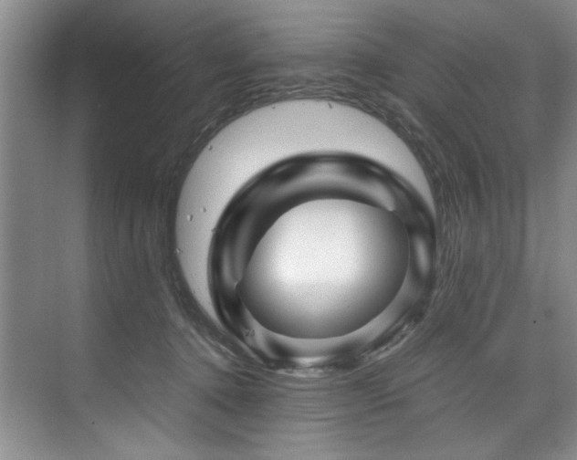 X0000075920368200609151501