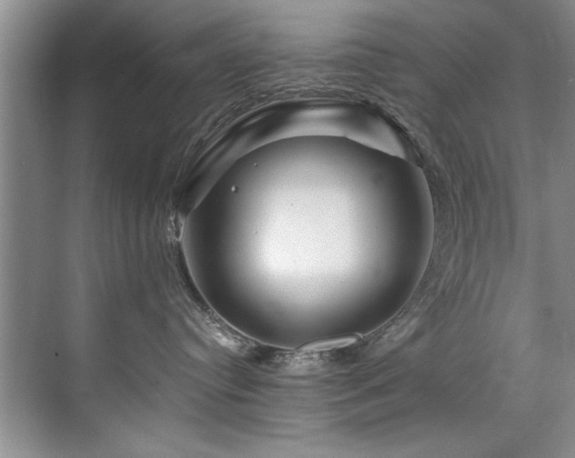 X0000075920384200609151501