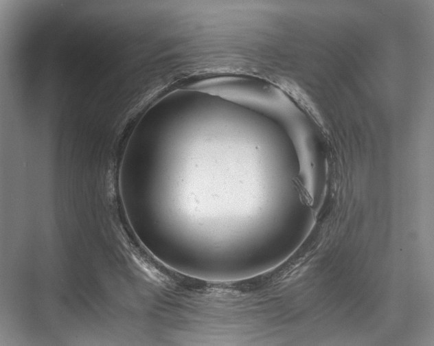 X0000075920393200609151500