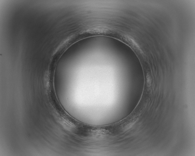 X0000075920396200609151500