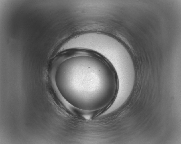 X0000075920403200609151500
