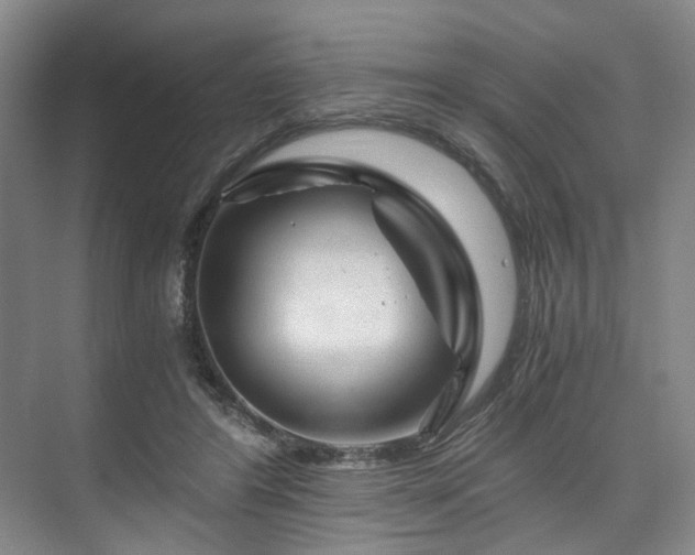 X0000075920404200609151500
