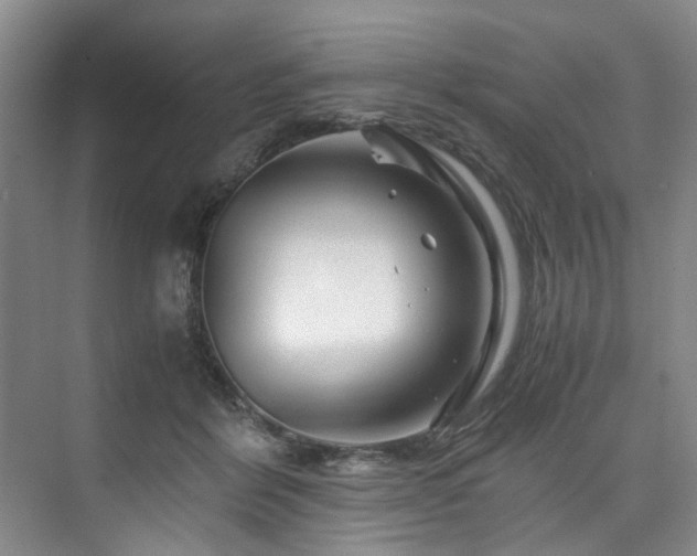 X0000075920412200609151500