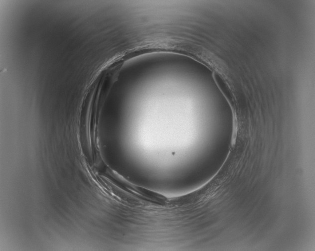 X0000075920434200609151459