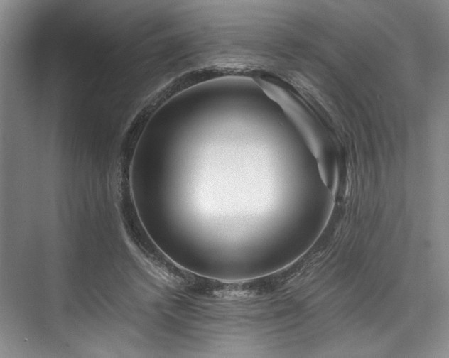X0000075920448200609151459