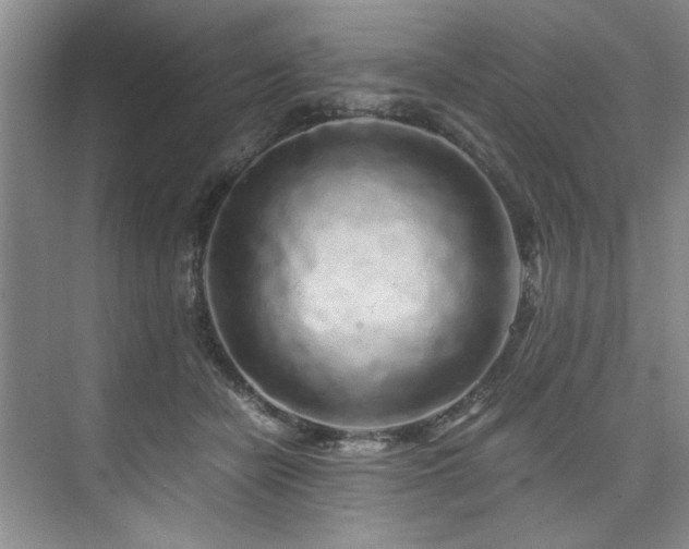 X0000075920462200609151459