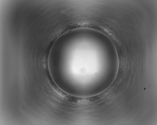 X0000075920470200609151459