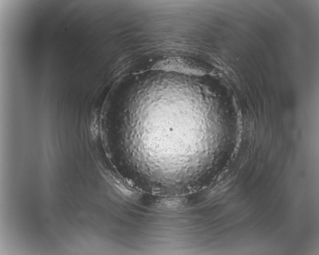 X0000075920479200609151459