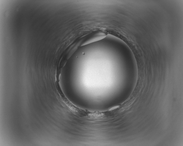 X0000075920480200609151459